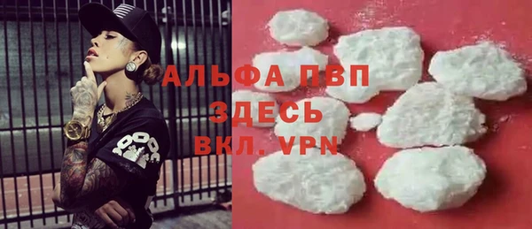 хмурый Белокуриха