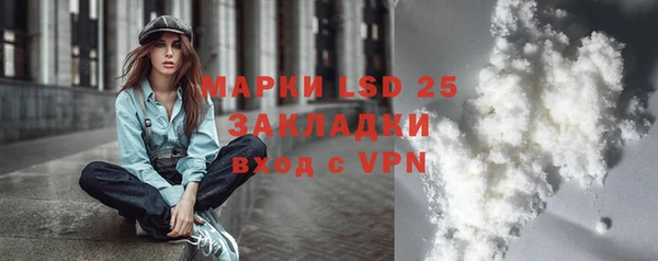 хмурый Белокуриха