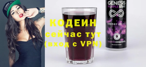 хмурый Белокуриха