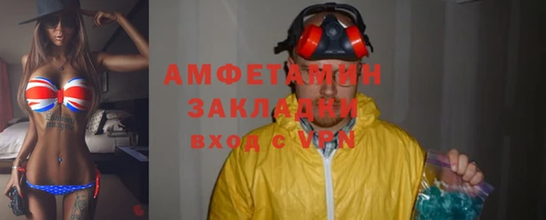 хмурый Белокуриха