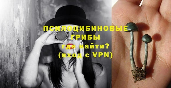 прущий лед Переславль-Залесский