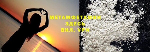 гидра Богородск