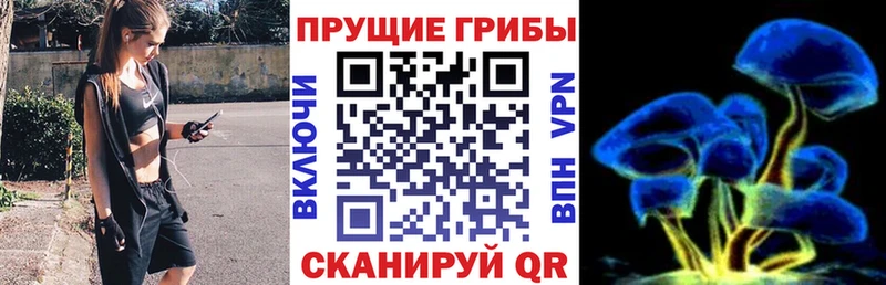 купить закладку  Катайск  это официальный сайт  Галлюциногенные грибы Psilocybine cubensis 
